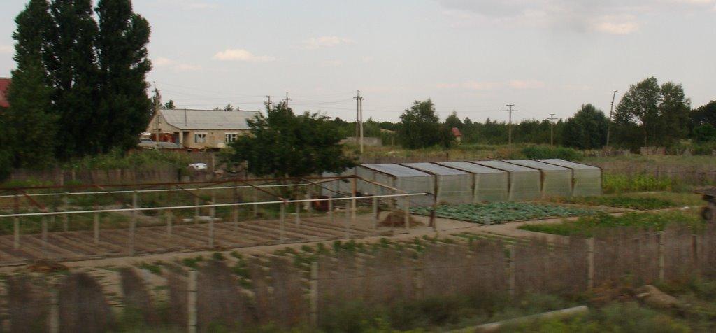 Піщанівка з panoramio.com - Піщанівка