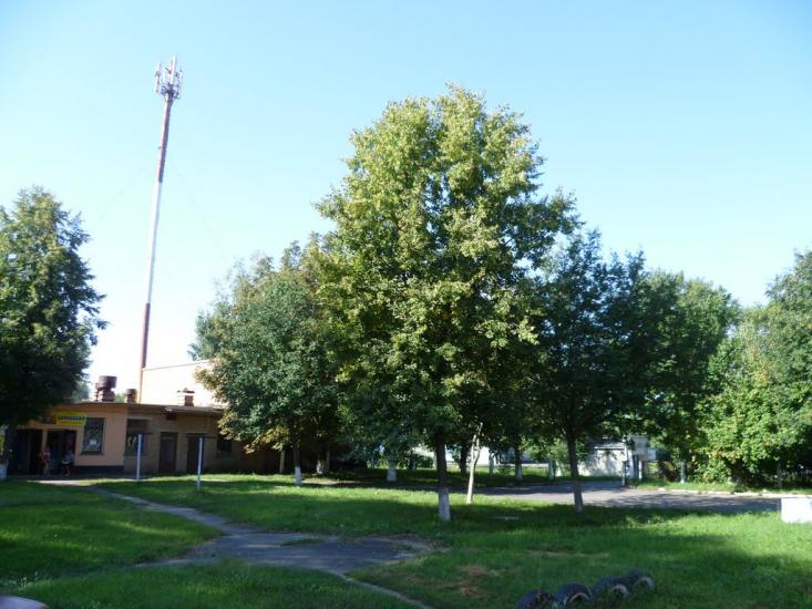 Гоголеве з panoramio.com - Gogoleve