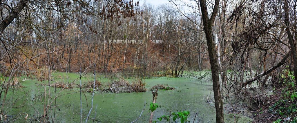 Горбанівка з panoramio.com - Горбанівка