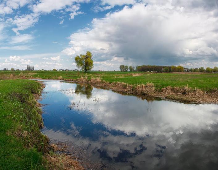 Кривуші з panoramio.com - Кривуші