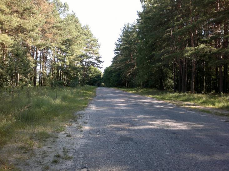 Нові Яриловичі з panoramio.com - Нові Яриловичі