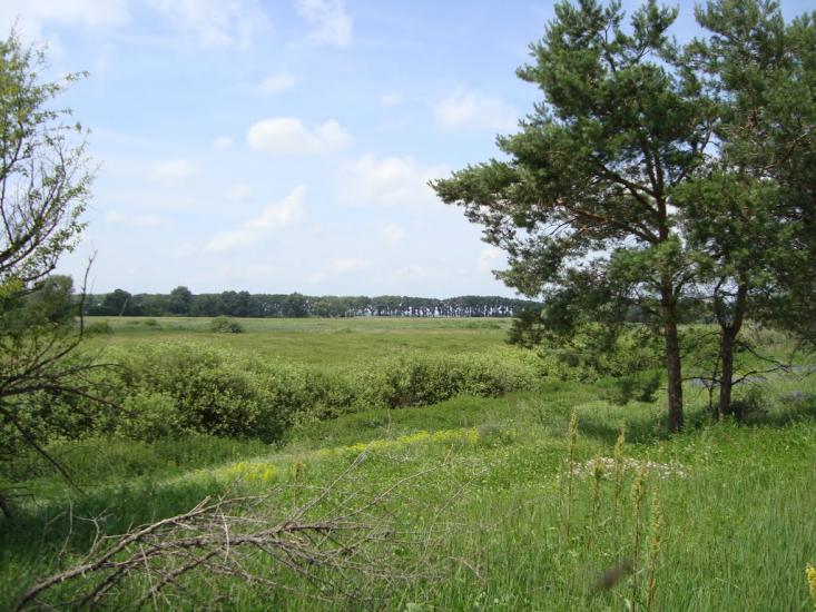 Русанів з panoramio.com - Русанов