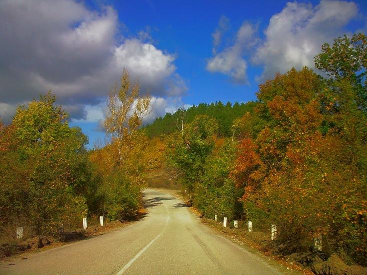 Щасливе з panoramio.com - Schaslyve