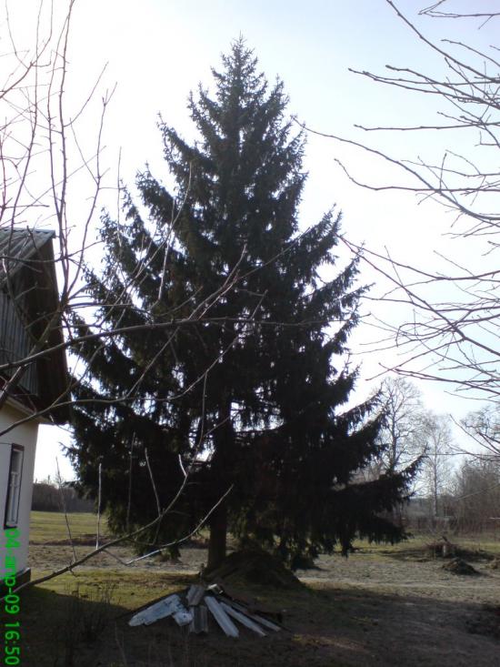 Мекшунівка з panoramio.com - Мекшунівка