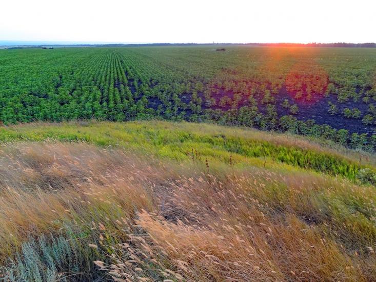 Новозванівка з panoramio.com - Novozvanivka