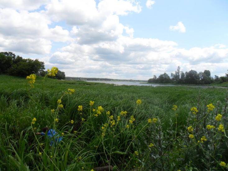 Боремель з panoramio.com - Боремель