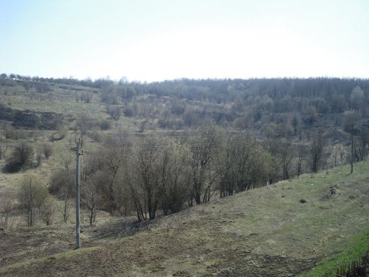 Мартинівка з panoramio.com - Мартыновка