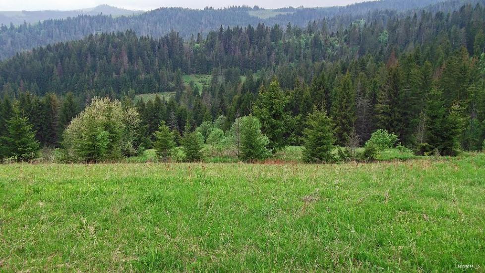 Пилипець з panoramio.com - Пилипец