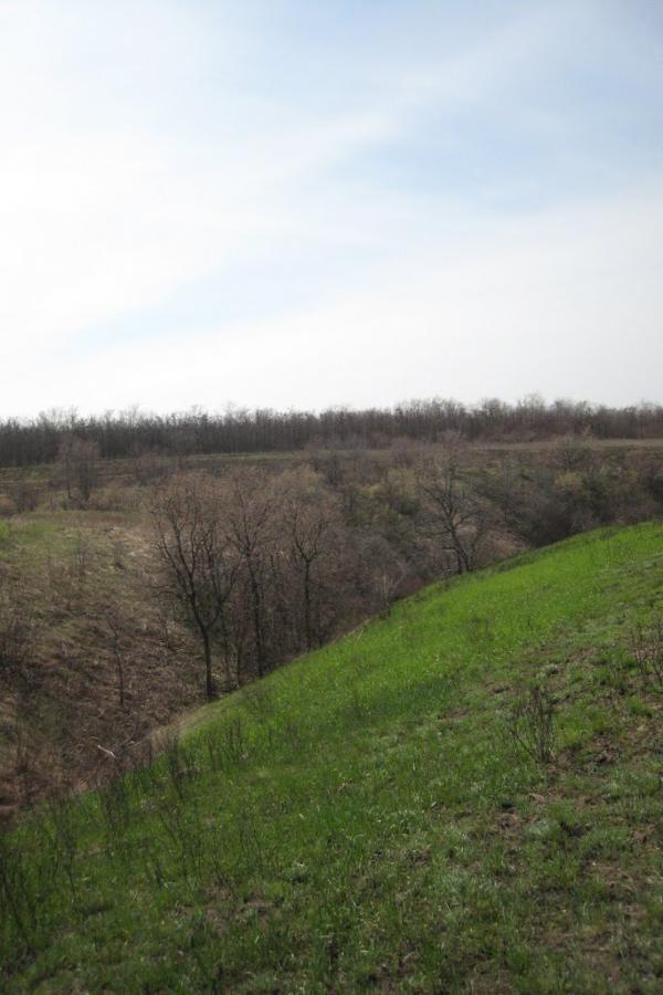 Фабричне з panoramio.com - Фабричное