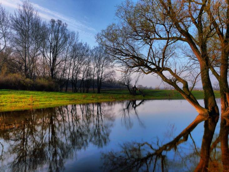 Слов'яносербськ з panoramio.com - Славяносербск
