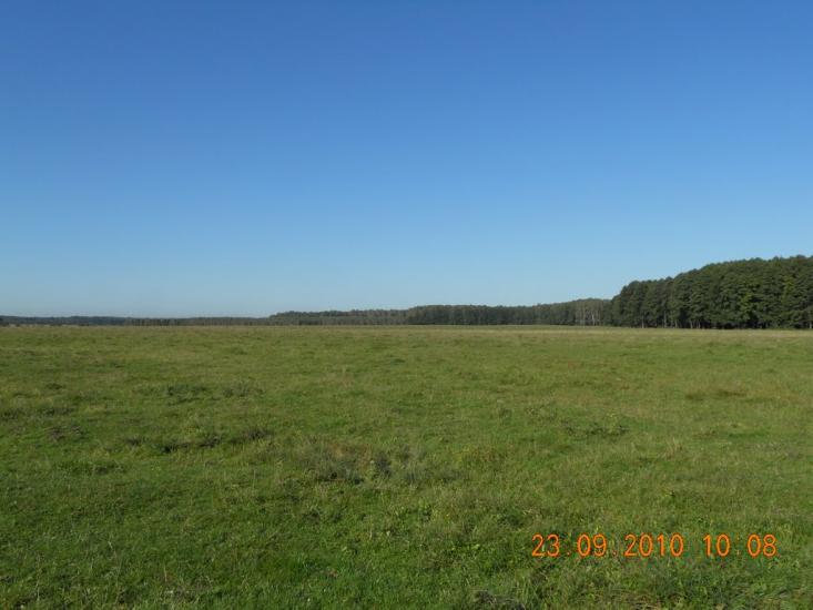 Головлі з panoramio.com - Головли