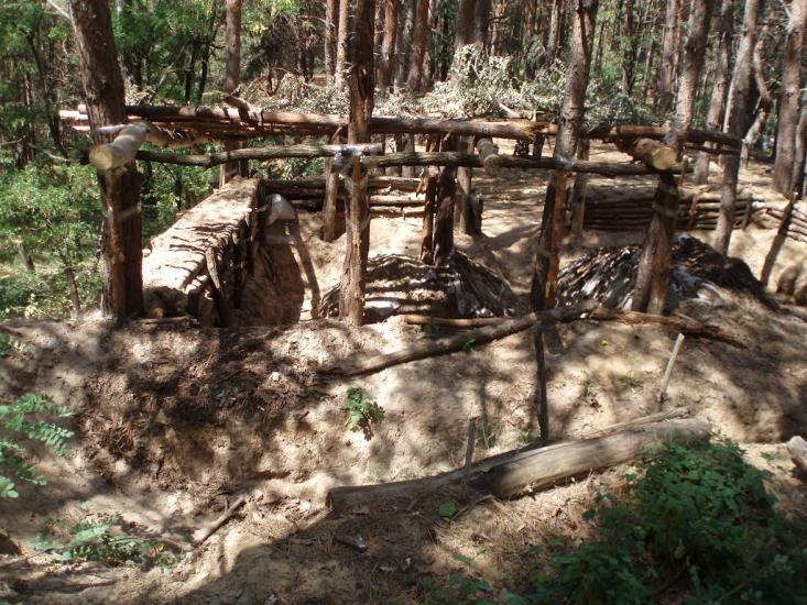 Пересічна з panoramio.com - Пересечная