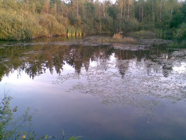 Глухова з panoramio.com - Глухова