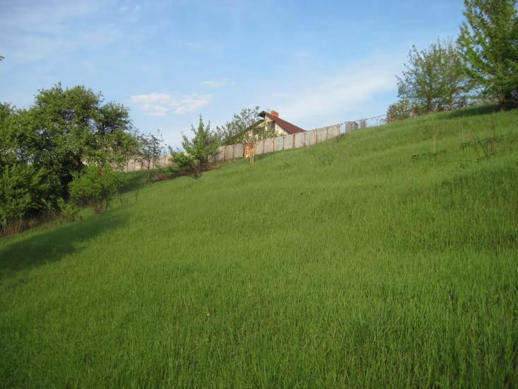 Радочини з panoramio.com - Радочини