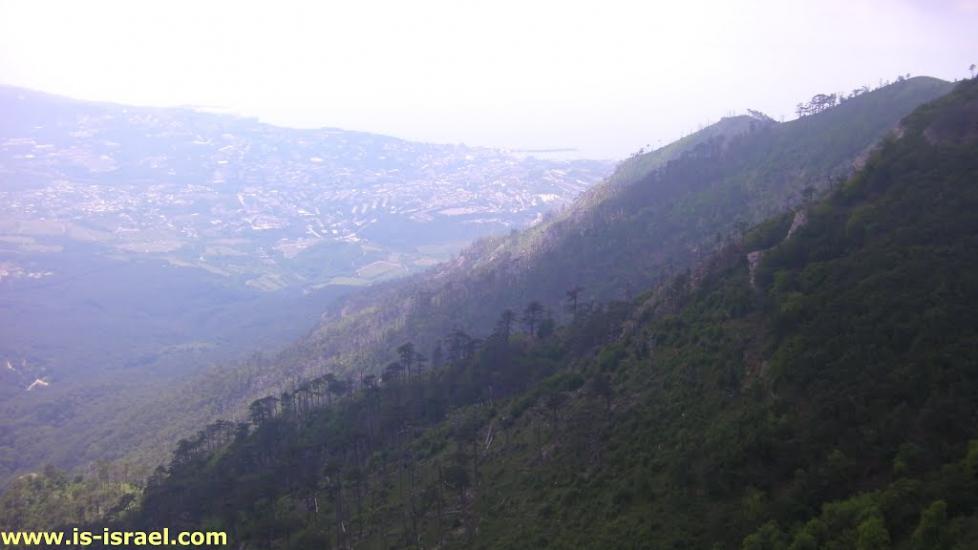 Відрадне з panoramio.com - Отрадное