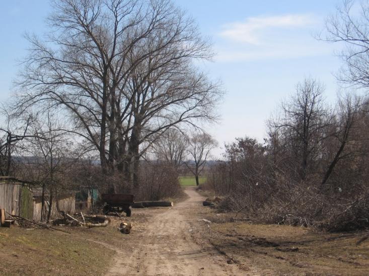 Петрушин з panoramio.com - Петрушин