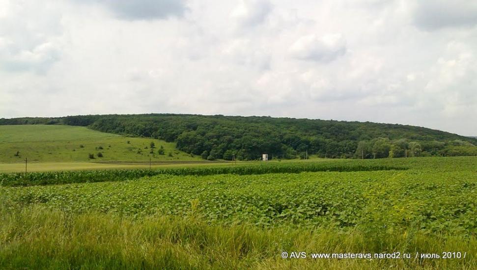 Сидорове з panoramio.com - Сидорове