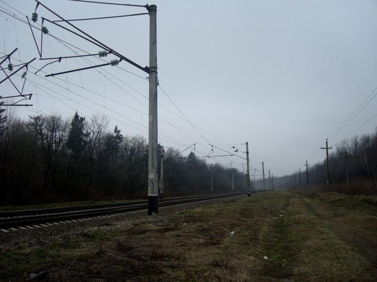 Васютинці з panoramio.com - Васютинці