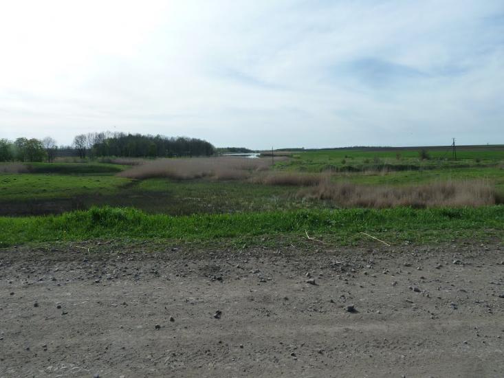 Володимирівка з panoramio.com - Volodymyrivka