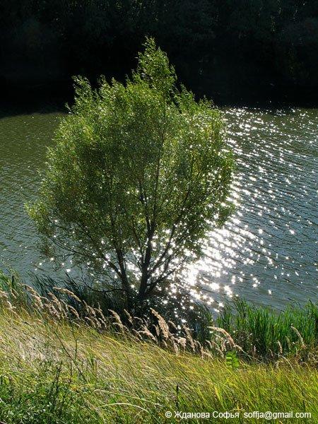 Лісне з panoramio.com - Лесное