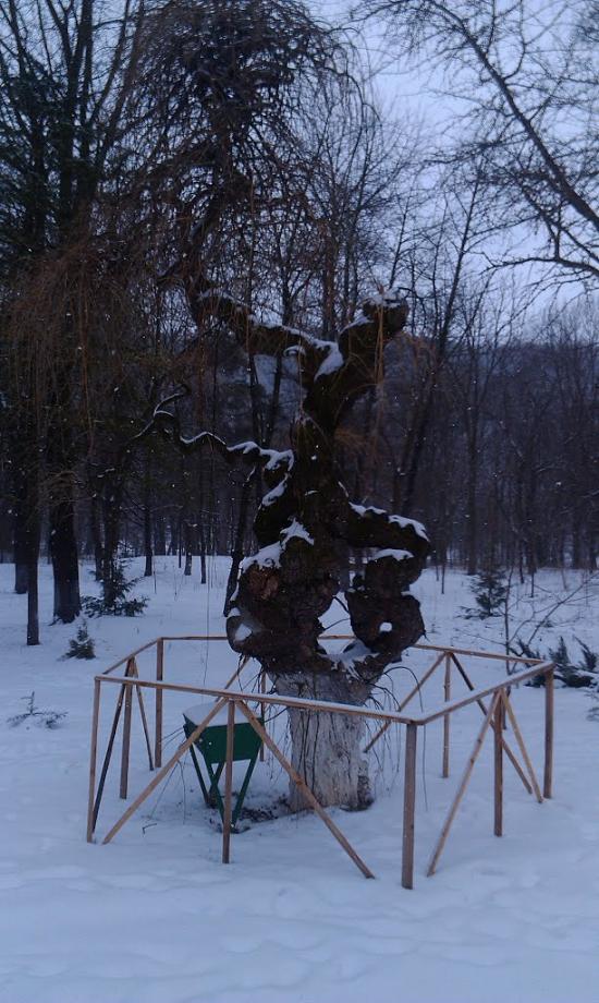 Кострижівка з panoramio.com - Кострижевка