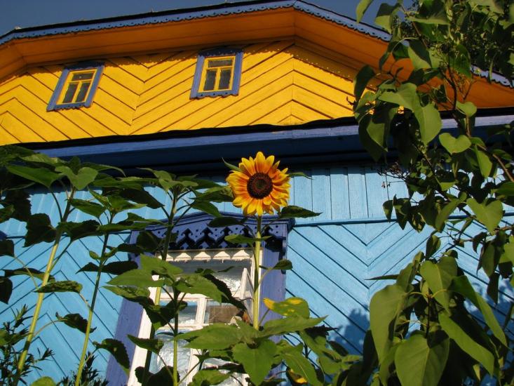 Мелені з panoramio.com - Meleni