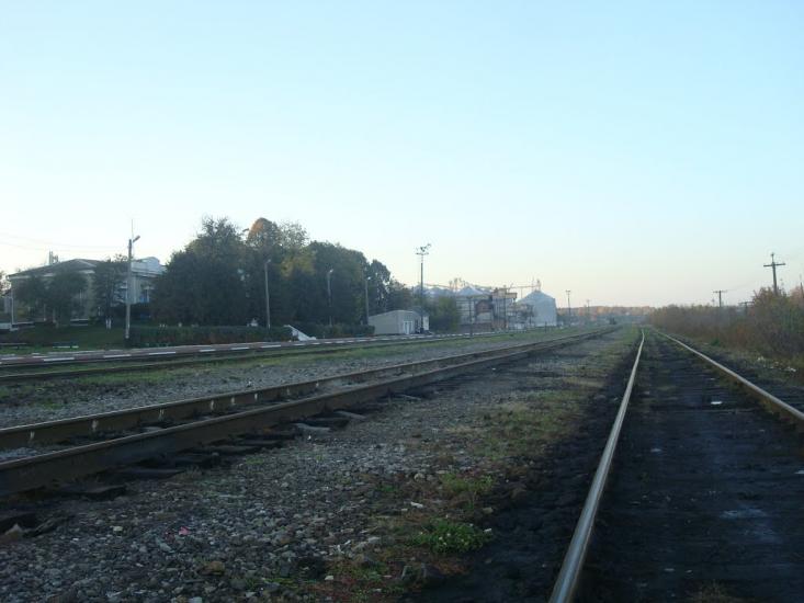 Томашівка з panoramio.com - Томашовка