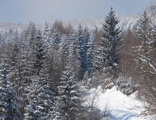Баня-Березів з panoramio.com - Баня-Березов