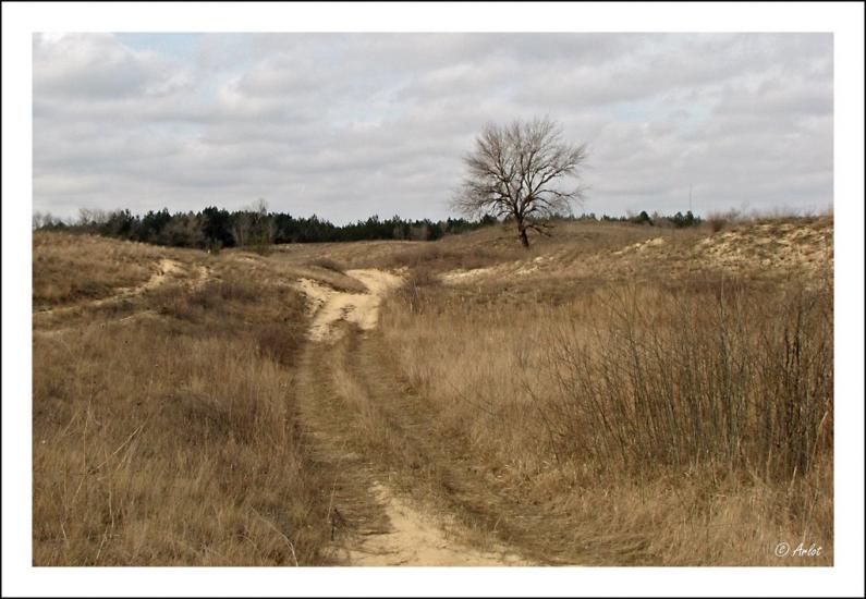 Пролетарка з panoramio.com - Пролетарка