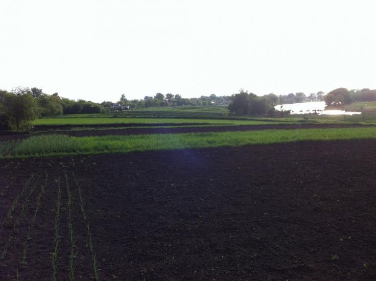 Іванівка з panoramio.com - Іванівка