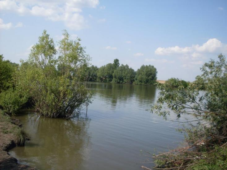 Краснопілка з panoramio.com - Краснополка