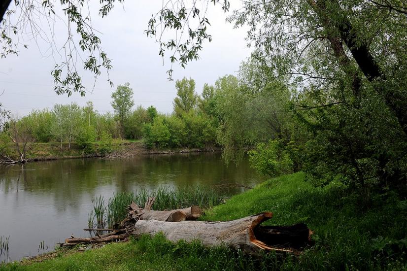Крива Лука з panoramio.com - Крива Лука