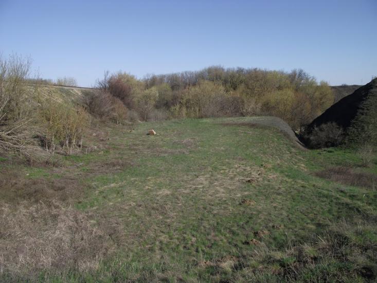 Цупки з panoramio.com - Цупки