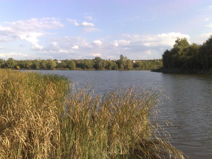 Питомник з panoramio.com - Питомник