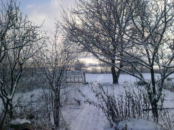 Нижня Кринка з panoramio.com - Нижня Кринка