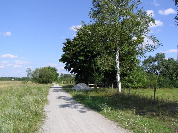 Бондарівка з panoramio.com - Бондаревка