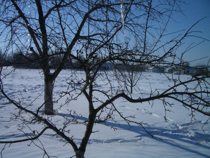 Калініне з panoramio.com - Калініне