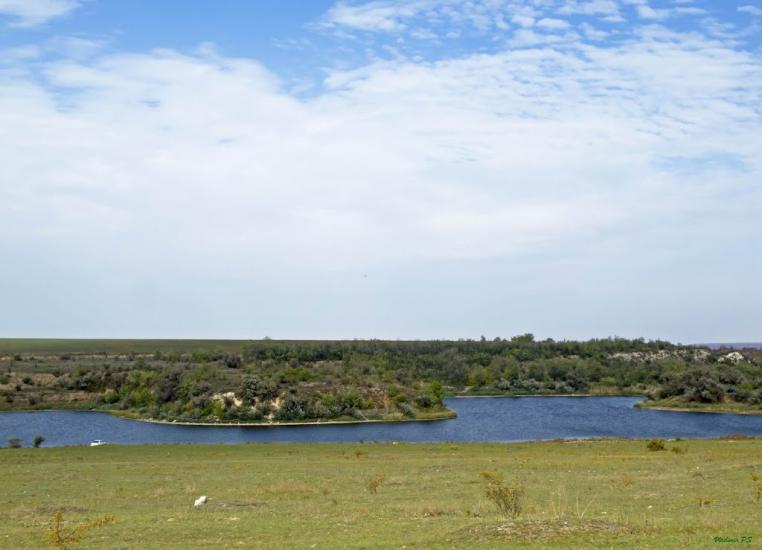 Стародобровільське з panoramio.com - Стародобровольское