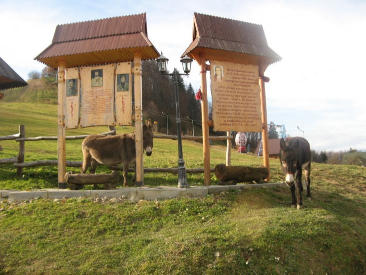 Розтоки з panoramio.com - Розтоки