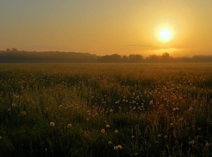 Слов'яносербськ з panoramio.com - Славяносербск