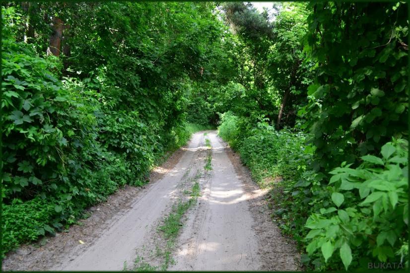Михайлівка з panoramio.com - Михайлівка