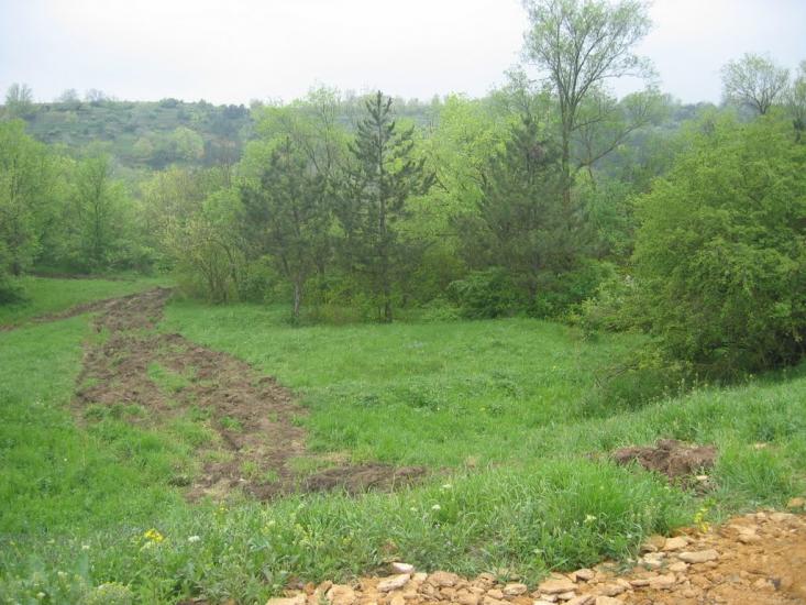 Паліївка з panoramio.com - Паліївка
