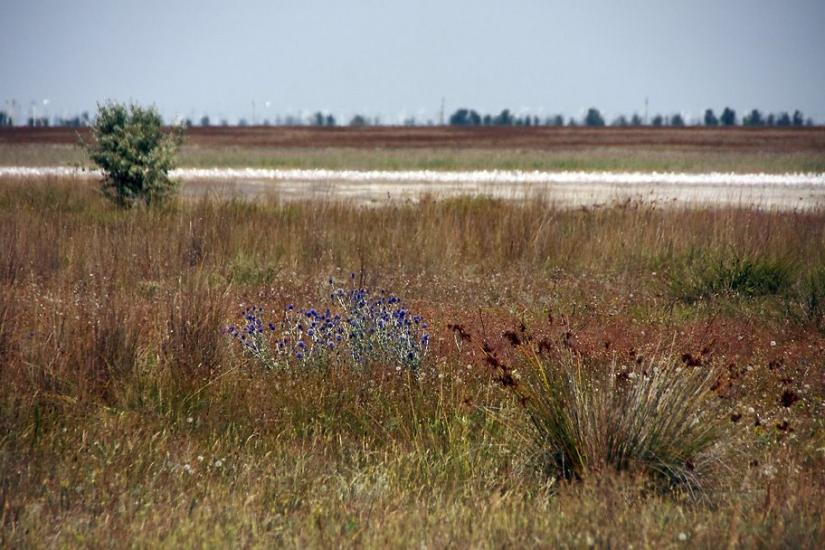 Штормове з panoramio.com - Штормове