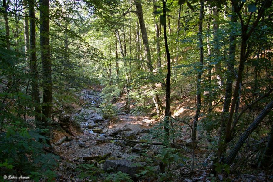 Підгородне з panoramio.com - Подгороднее