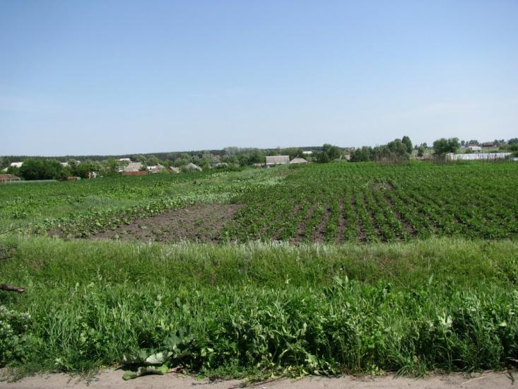 Циркуни з panoramio.com - Циркуны