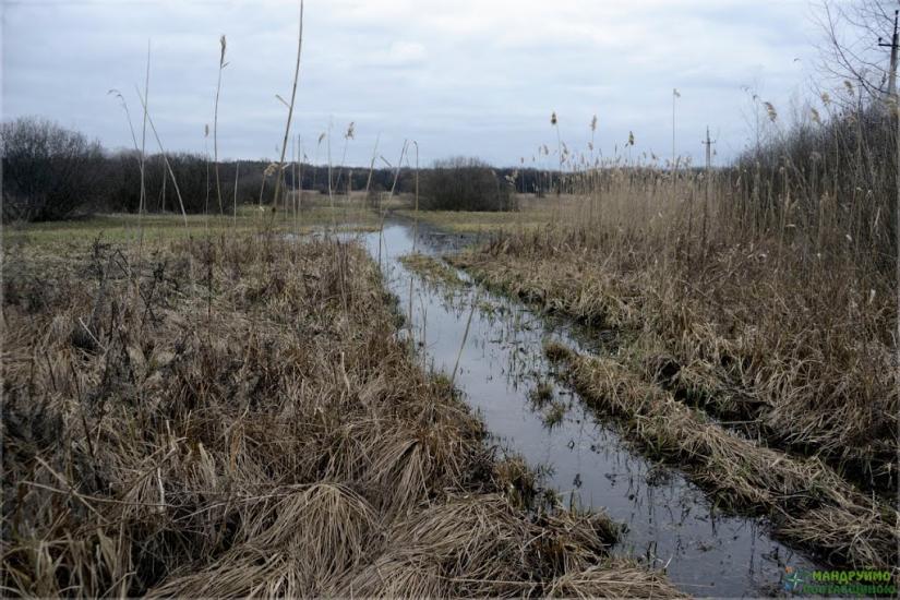 Пасківка з panoramio.com - Paskivka