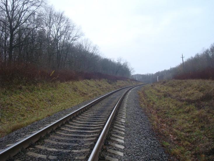 Радісне з panoramio.com - Радостное