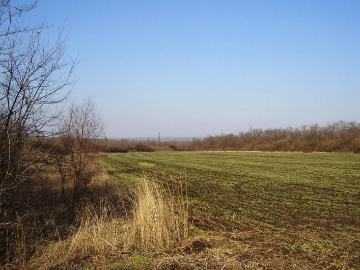 Фрунзе з panoramio.com - Фрунзе