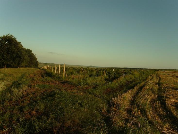 Малоярославець Перший з panoramio.com - Малоярославец Первый