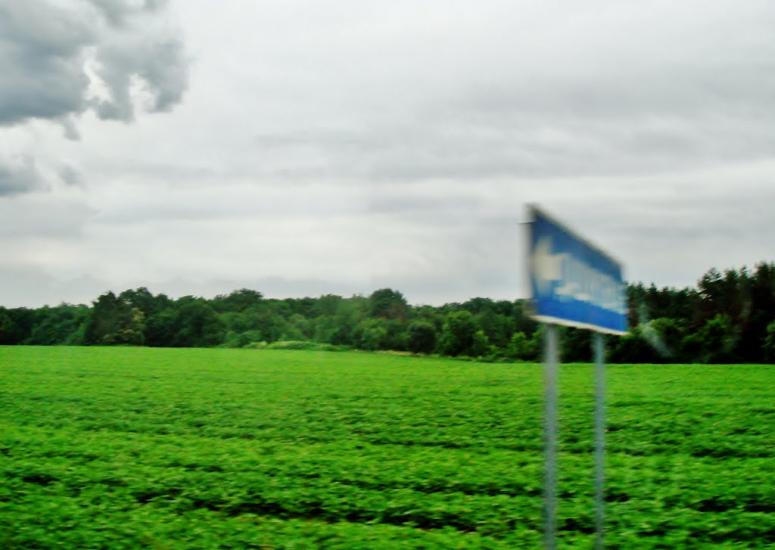 Чеснівка з panoramio.com - Чеснівка